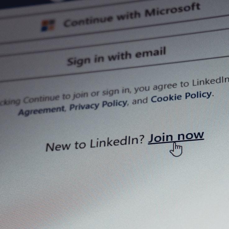 Web app development workspace